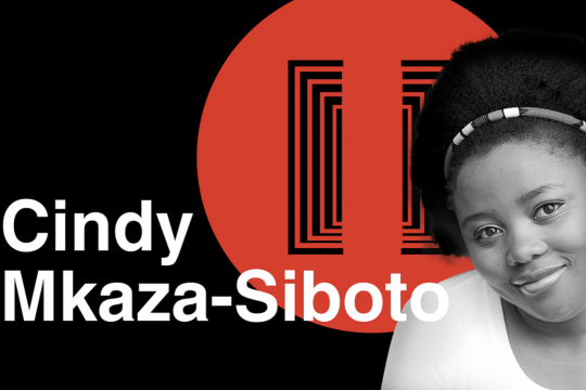 Cindy Mkaza-Siboto_TEDxCapeTown_PauseXEffect